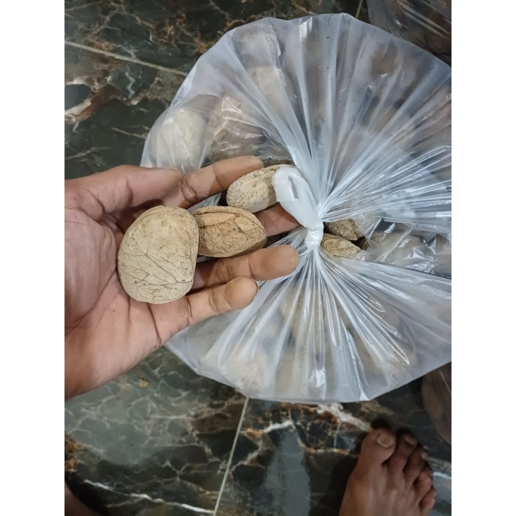 kluwak 1kg