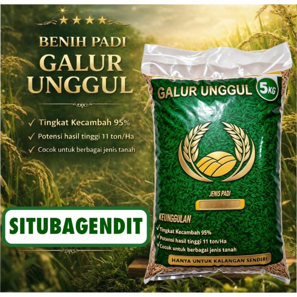 benih padi situ bagendit