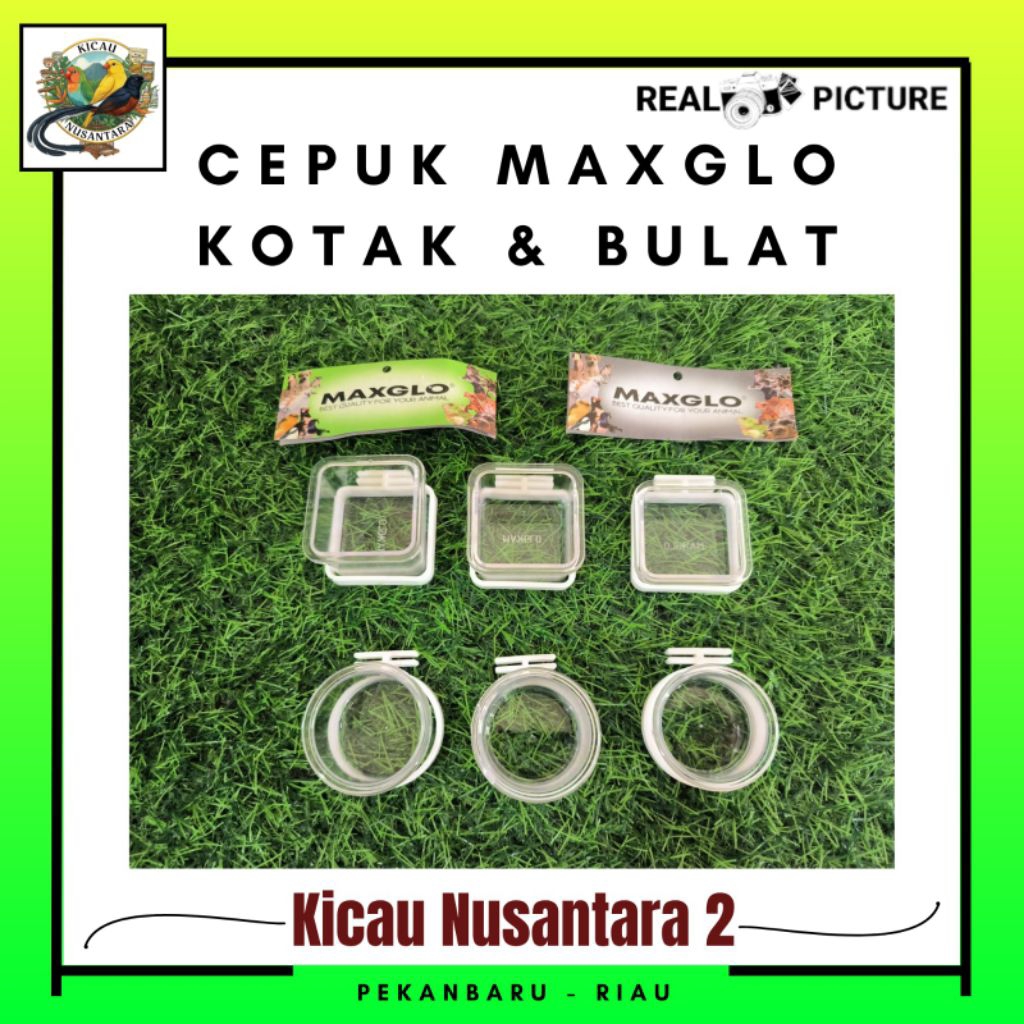 Cepuk Maxglo Makan Minum Burung Kotak & Bulat
