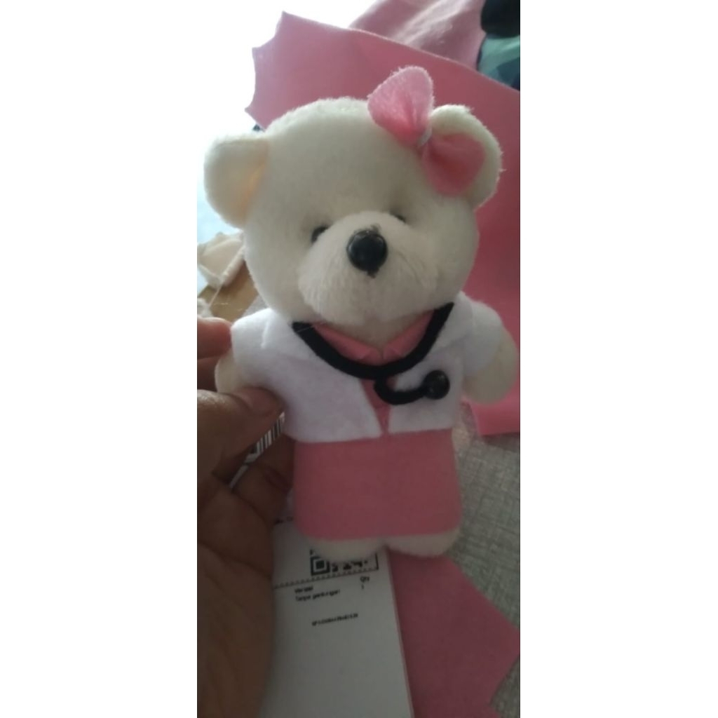 Boneka Teddy bear Profesi/Guru perempuan || cocok untuk hadiah, souvenir, maupun buket