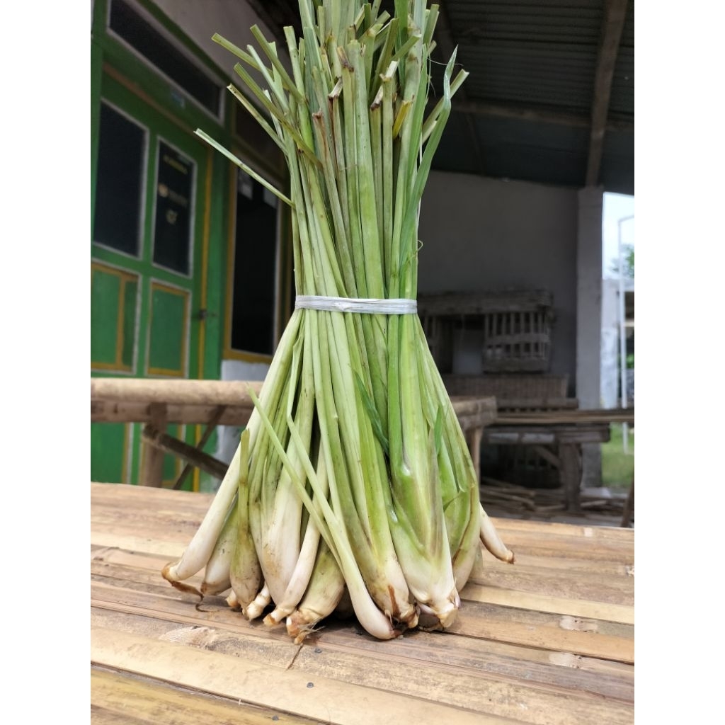 SEREH 1KG