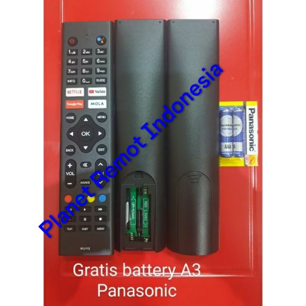 Remot for POLYTRON 81J112/81J194/81J273/81J960 VOICE  GOOGLE ORIGINAL