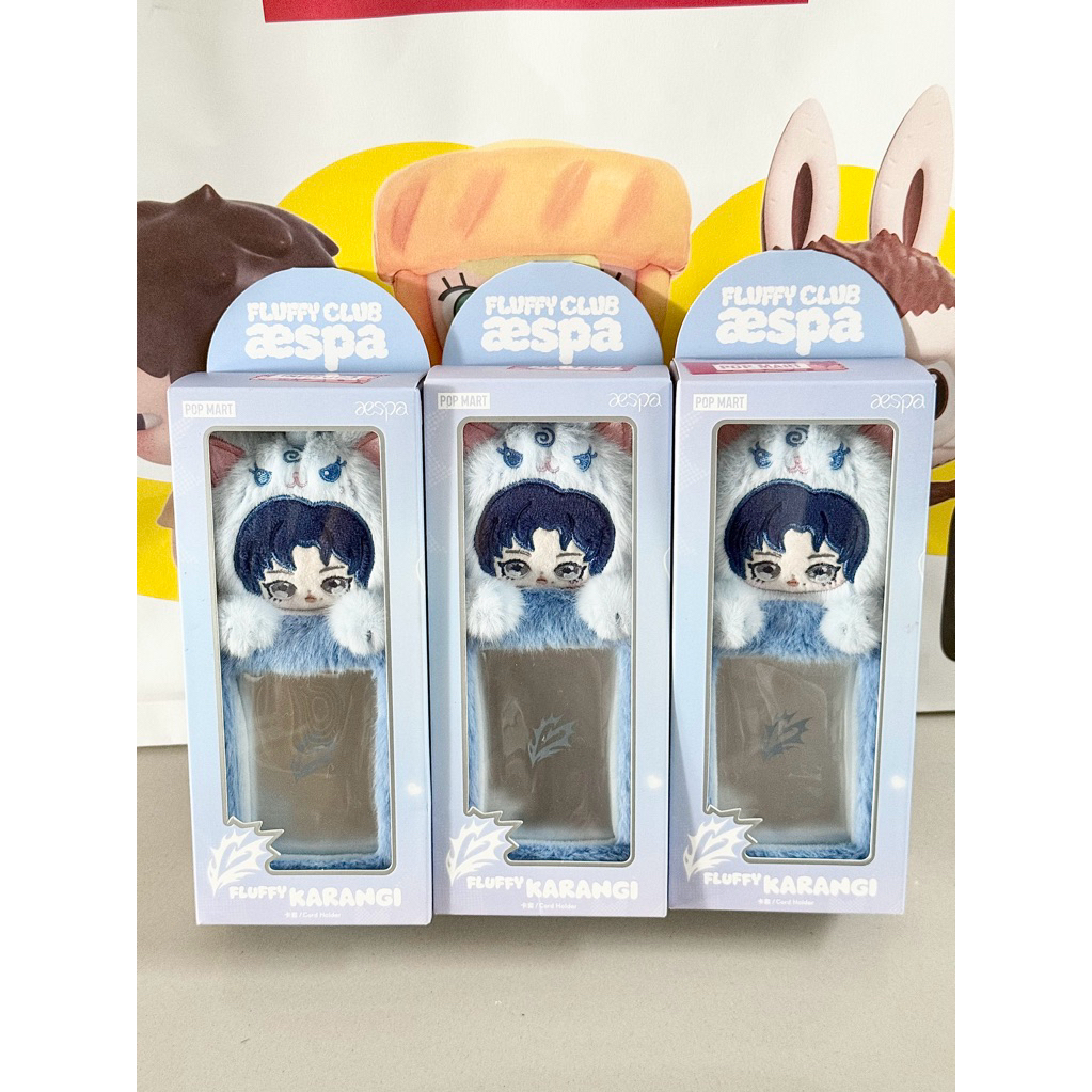 PM X AESPA CARD HOLDER KARINA