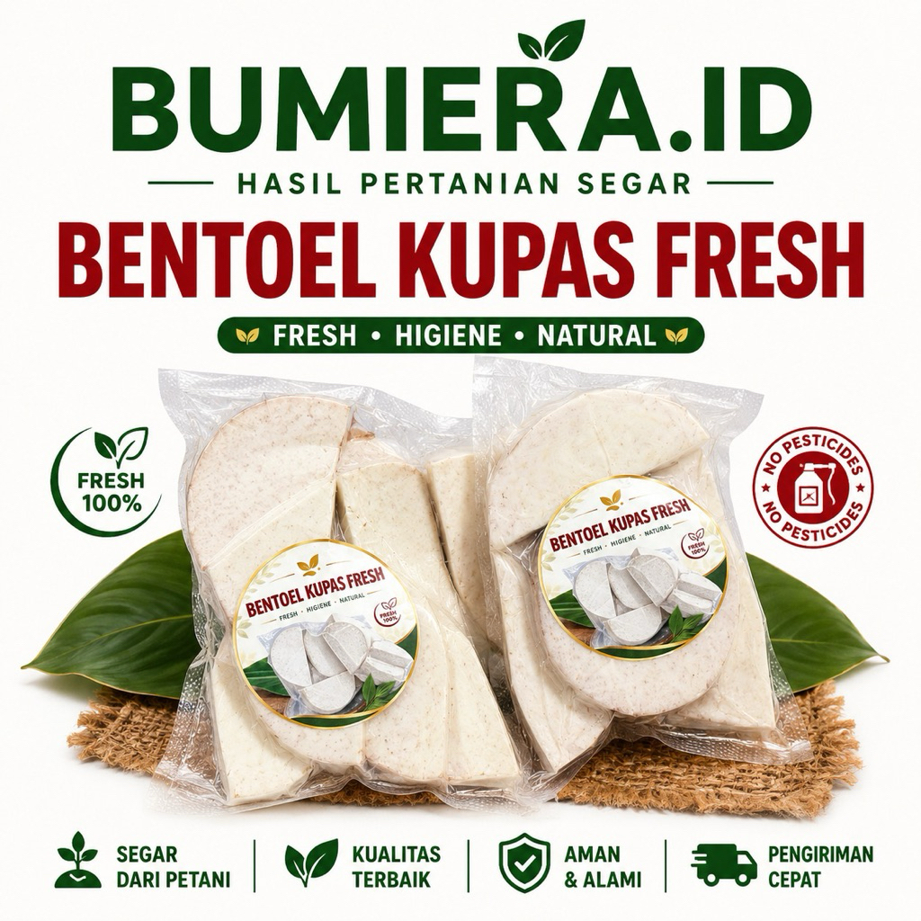Bentoel Kupas Mentah Fresh