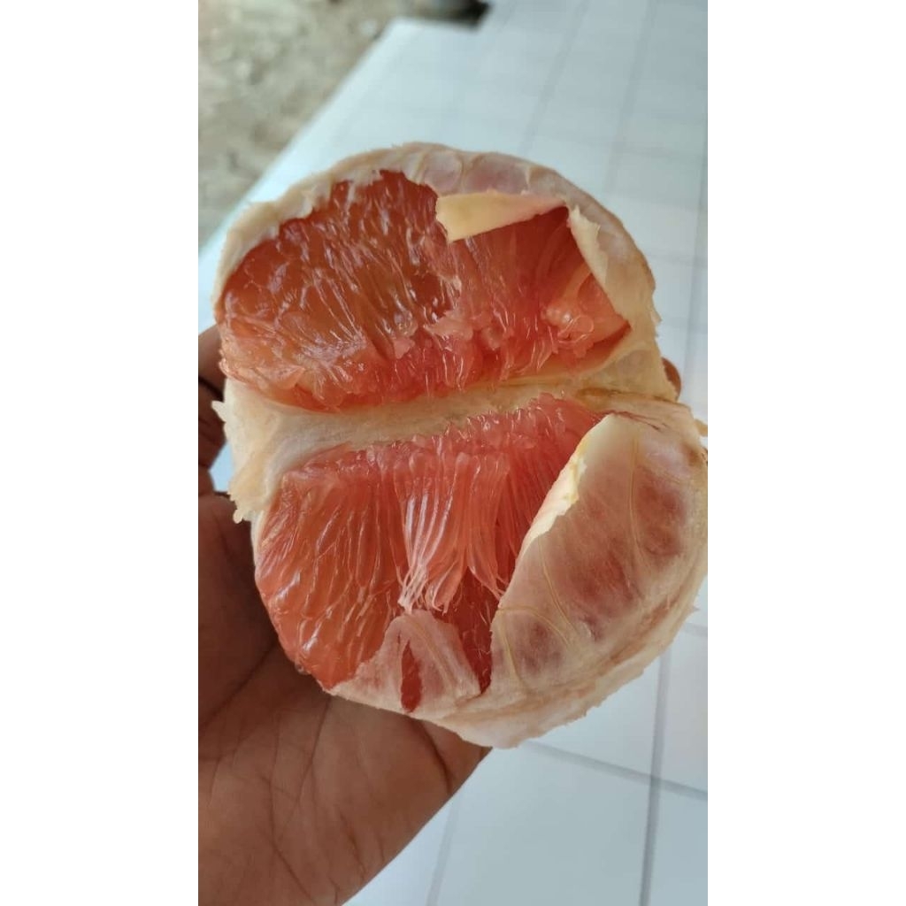 jeruk pamelo madu