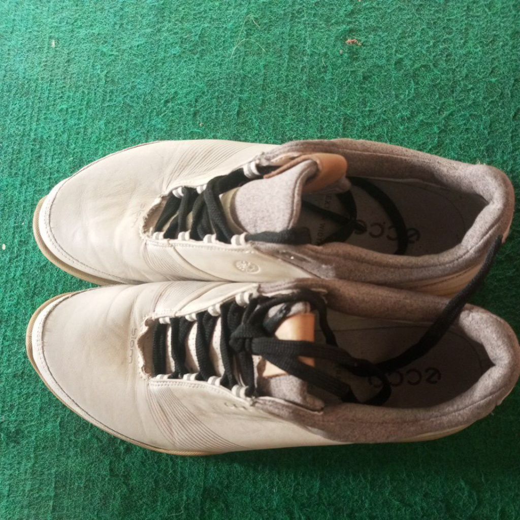 sepatu ecco biom