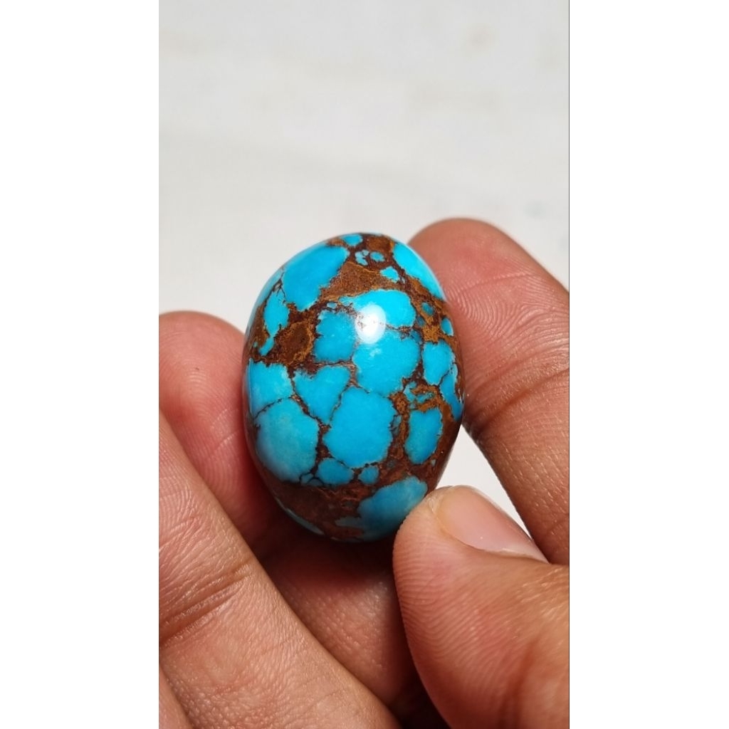 Natural pirus mesir