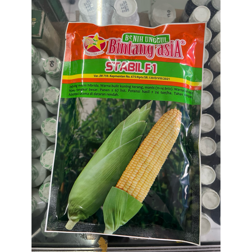 Benih Jagung Manis STABIL F1 original bintang asia