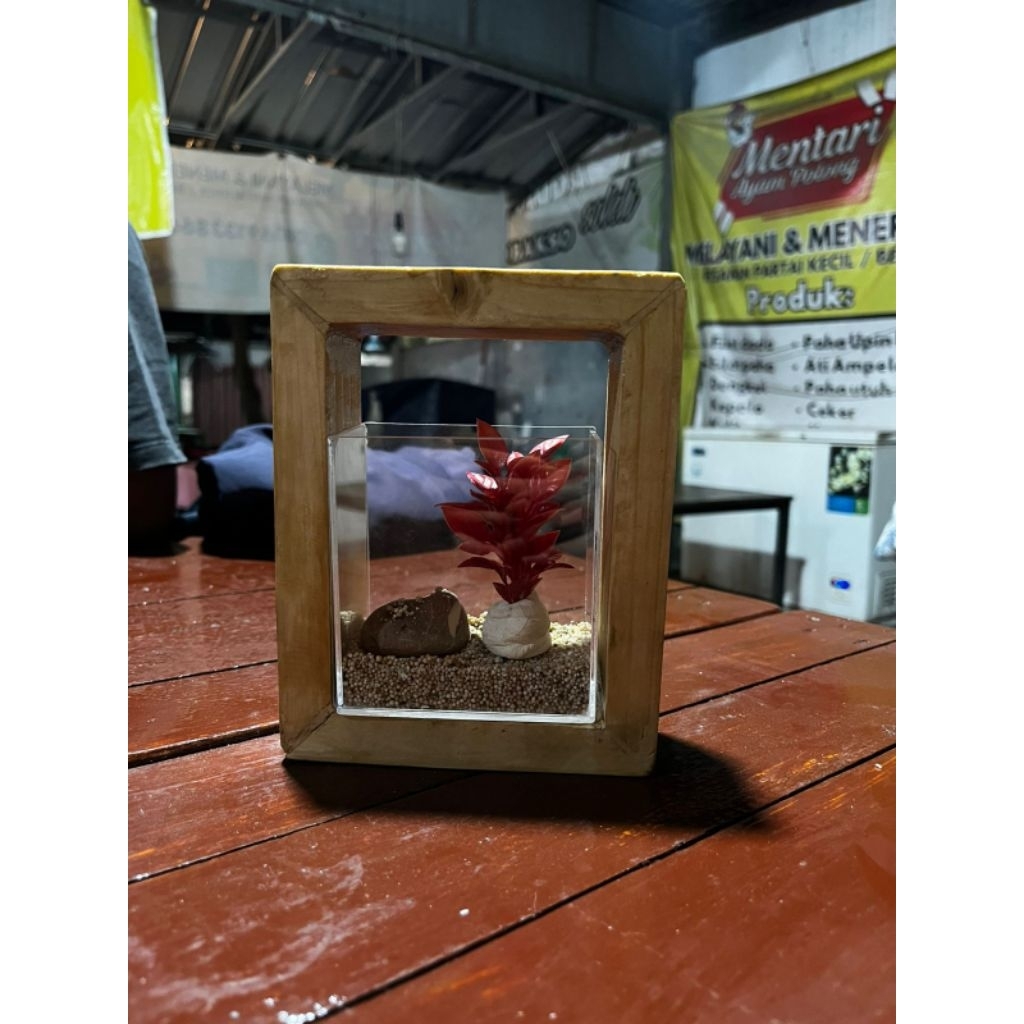 Aquarium akrilik dengan frame kayu