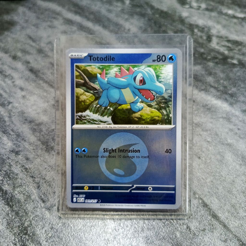 totodile holo mirror kartu pokemon asli english original dapat toploader | sedia juga kartu AR / CHR