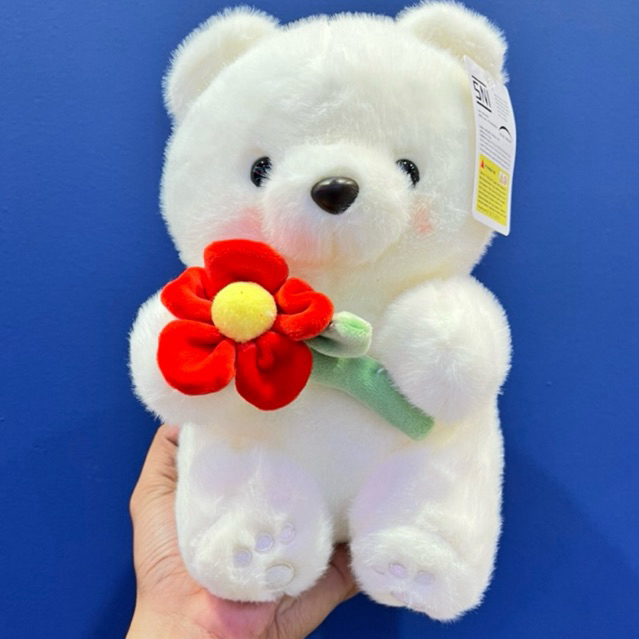 Boneka Beruang II Kado Ulang Tahun