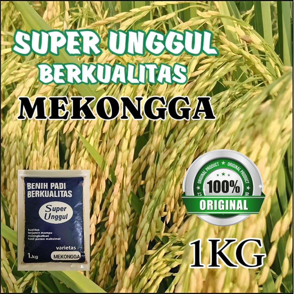 BIBIT PADI MEKONGGA SUPER UNGGUL 1KG