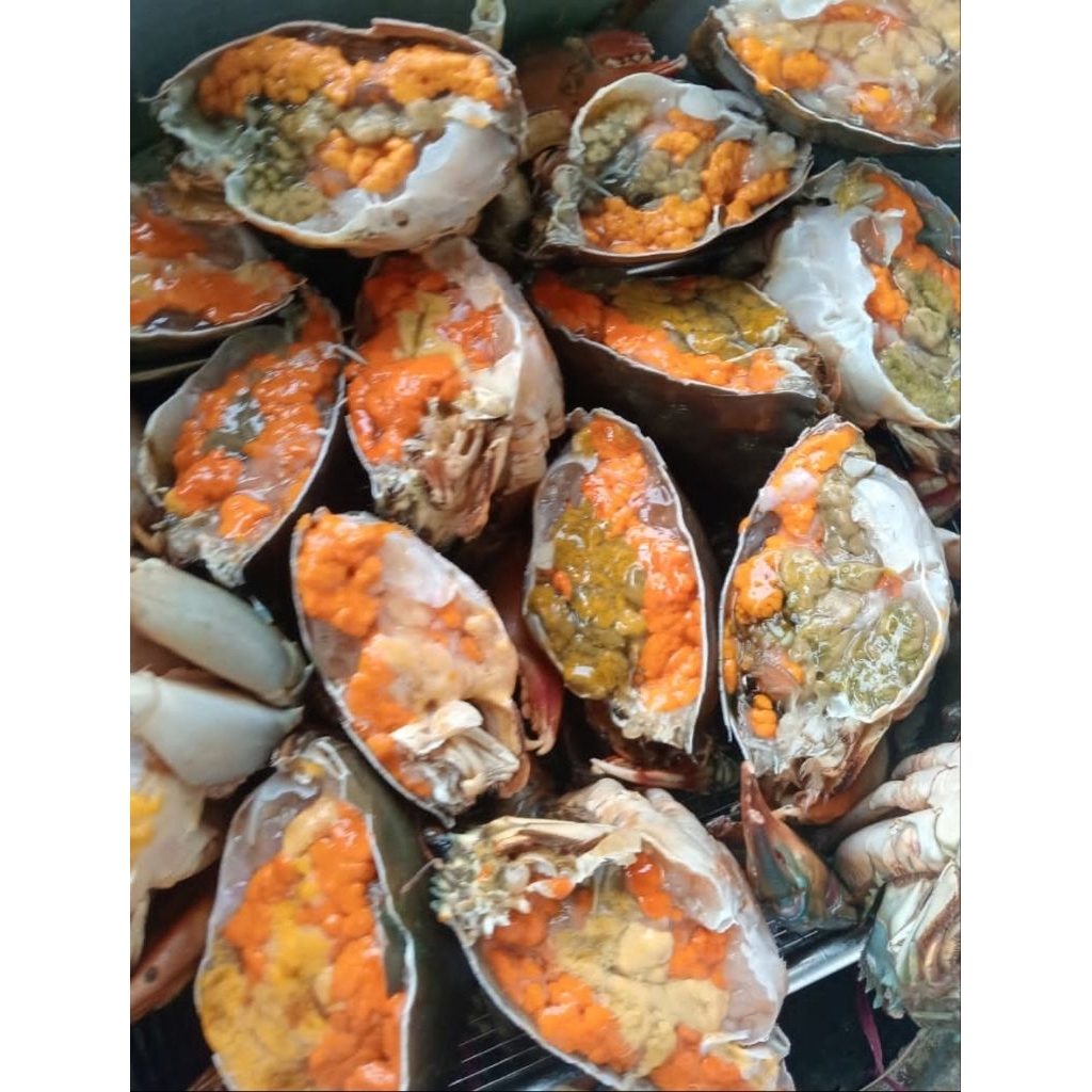 kepiting telur