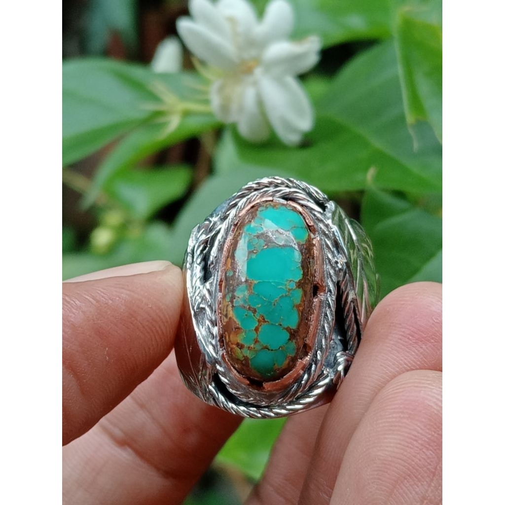pirus Persia ceplok002
