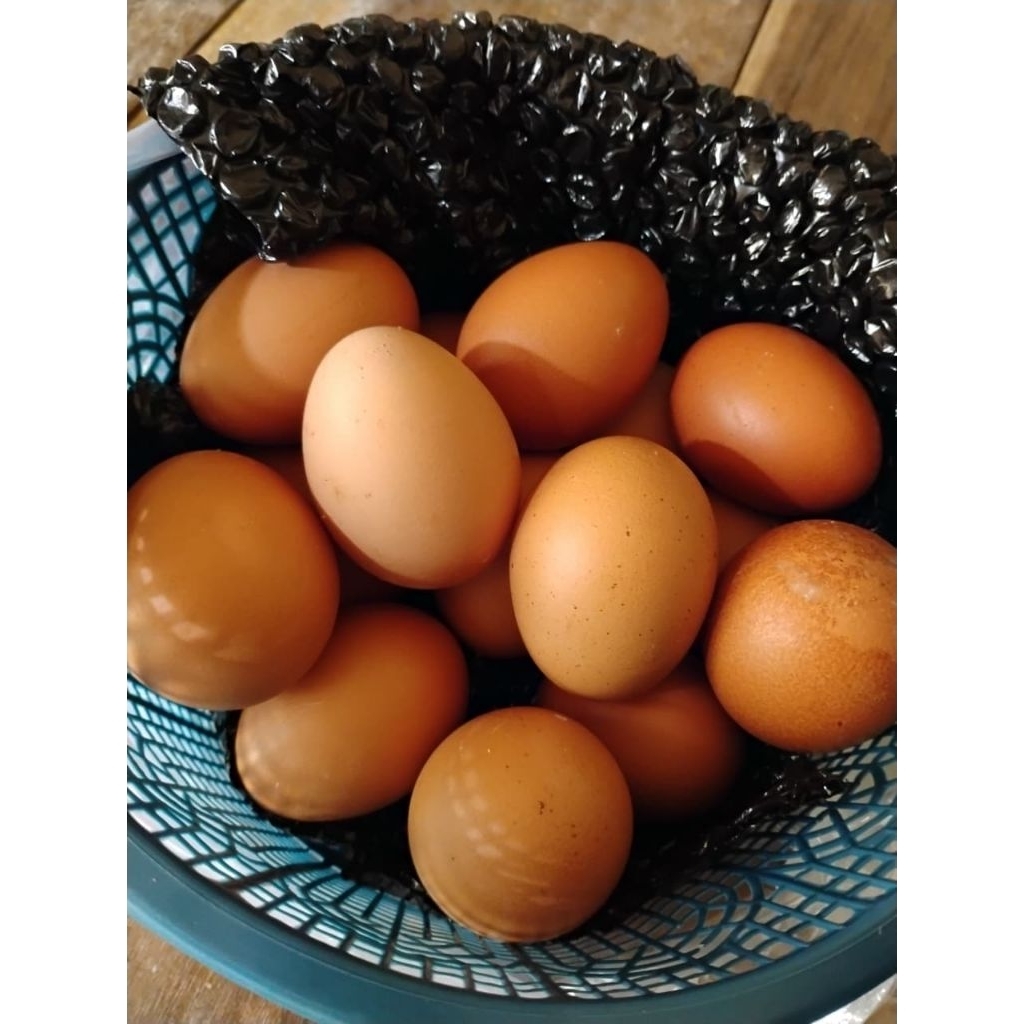 TELUR AYAM 1KG