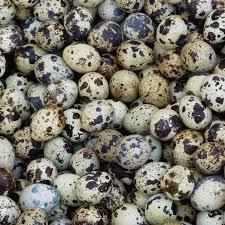 Telur Puyuh Rebus /