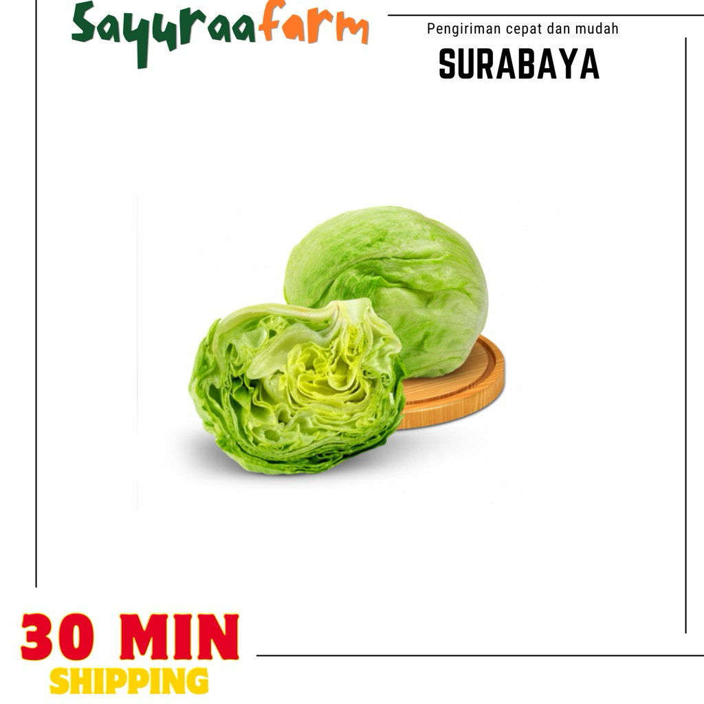 Lettuce Head - sayur Lettuce salad 500gr