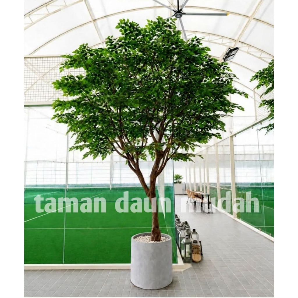 taman pohon beringin artificial / tanaman artificial / pohon artificial