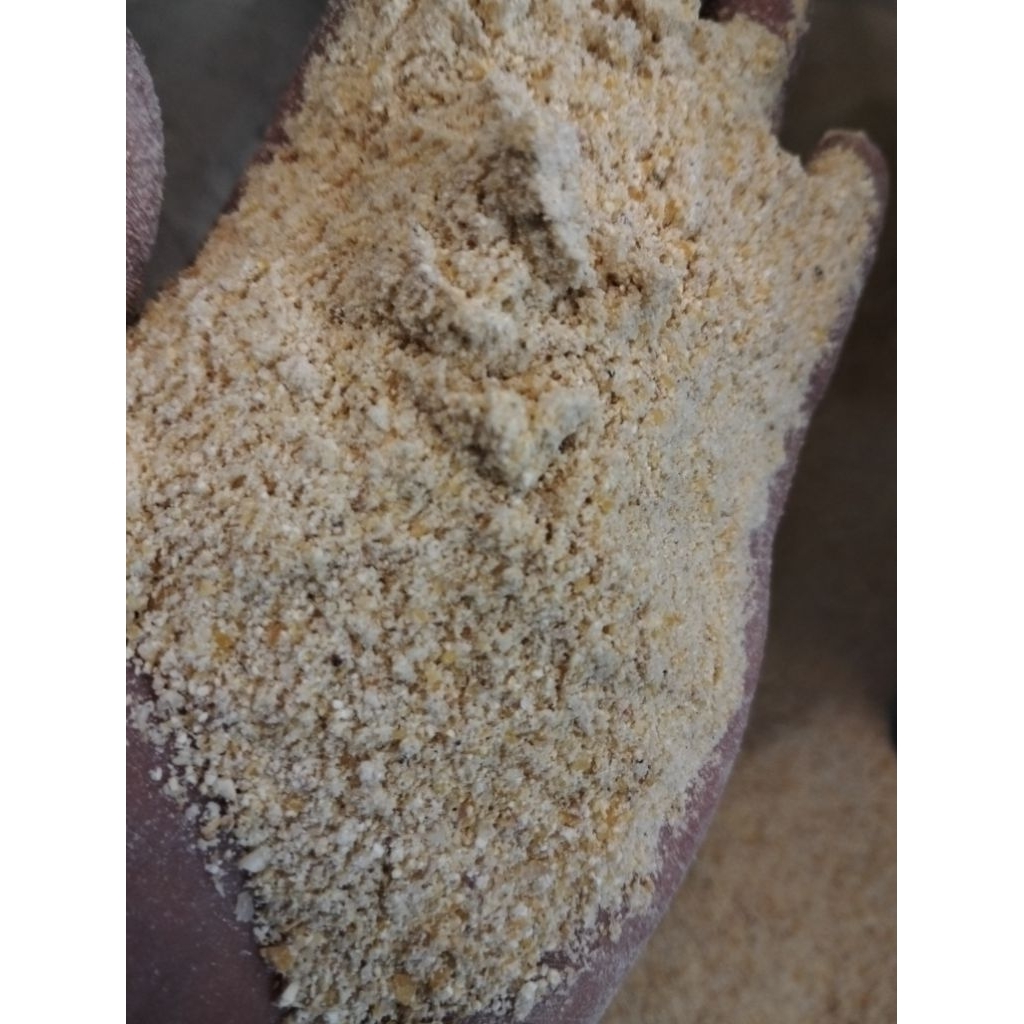 Cod Tepung Jagung Pakan Ternak