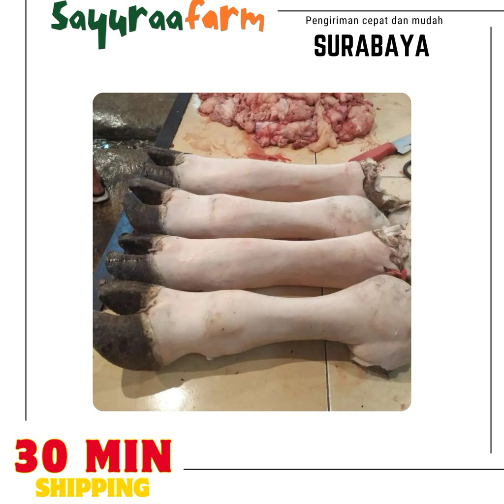 Kikil sapi - kaki sapi 1 buah