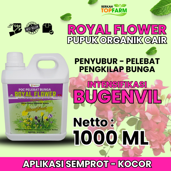 Pupuk Bugenvil / Pupuk Penyubur Bunga Bugenvil / Booster Bunga Kertas Biar Lebat / Obat Spray Bougen