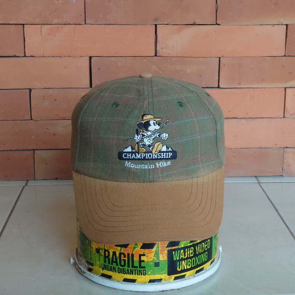 TOPI CAPS DISNEY ORIGINAL