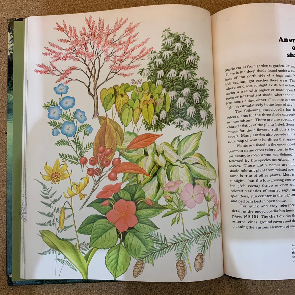Shade gardens| The time life encyclopedia of gardening