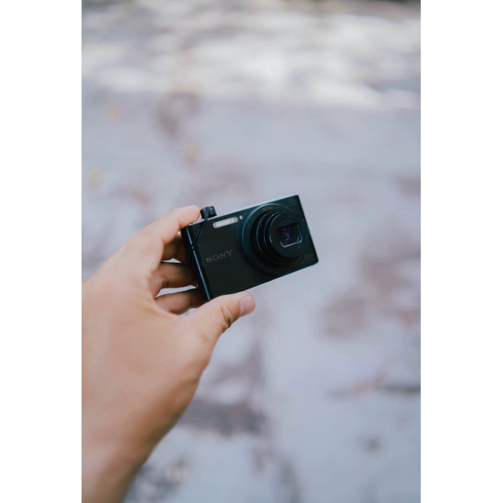 SONY DSC W830