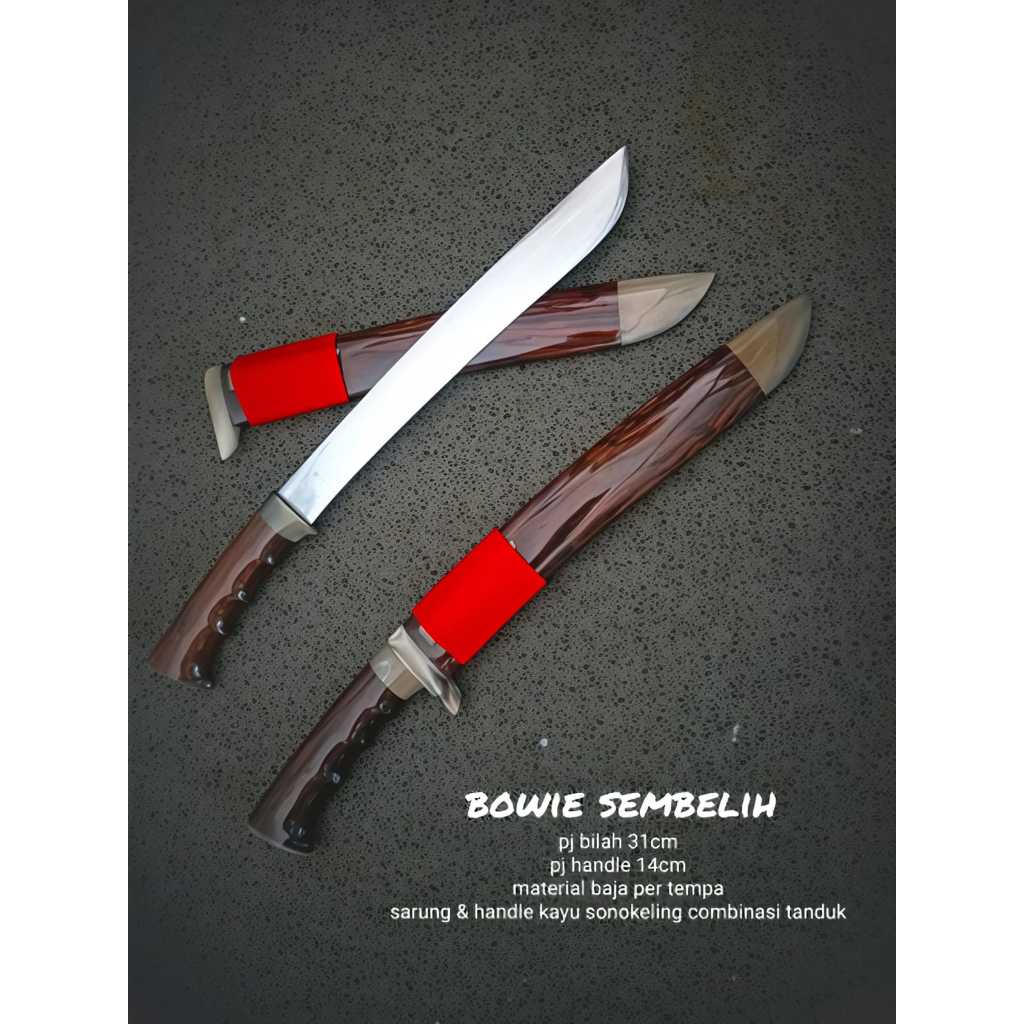 PISAU SEMBELIH 31 CM BOWIE PER SEPUH