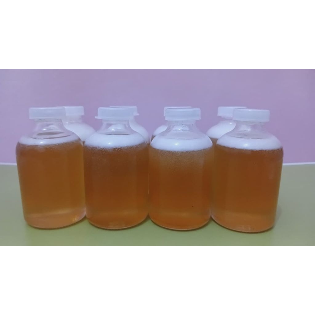 Madu Asli Hutan Sumatera
