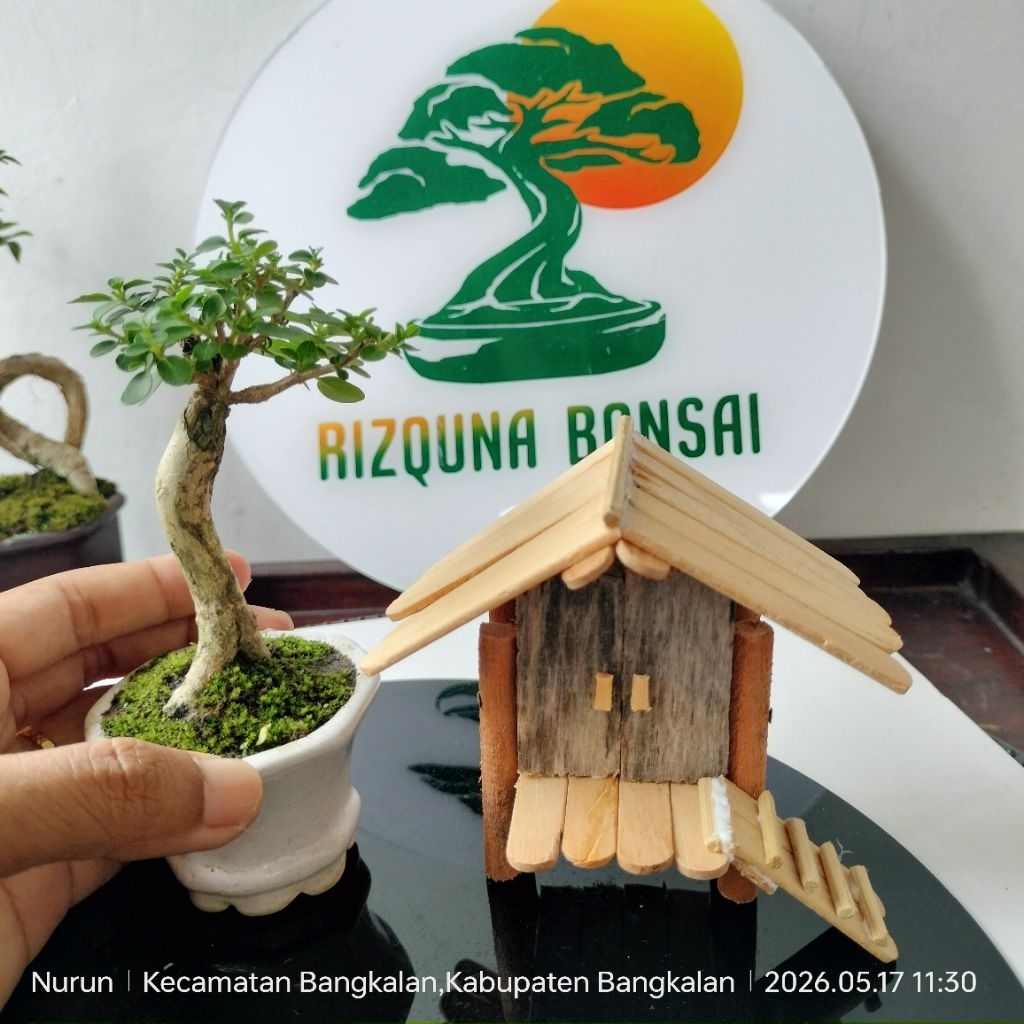 Miniatur rumah kayu untuk hiasan bonsai, dll