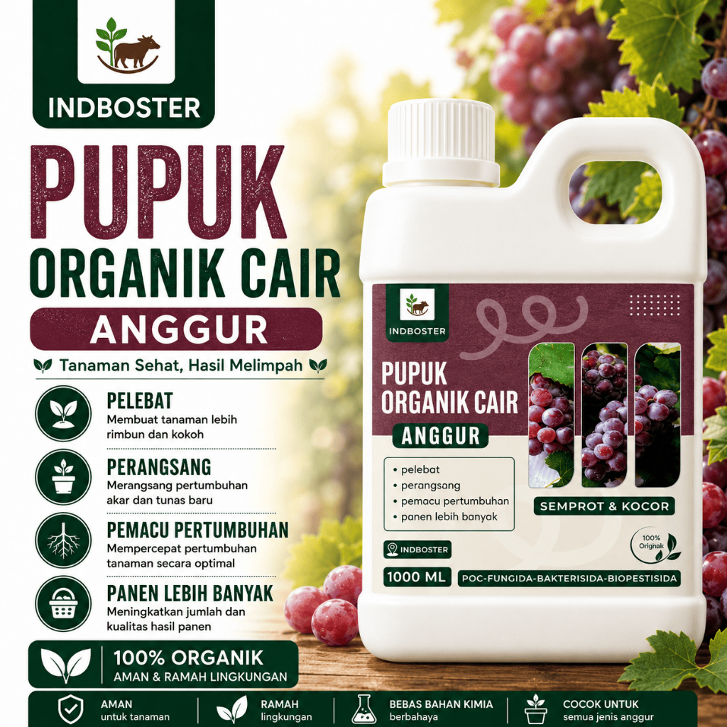Pupuk Anggur Cepat Berbuah / Pupuk Anggur Masa Pertumbuhan / Pupuk Anggur Berbuah Besar dan Manis / 