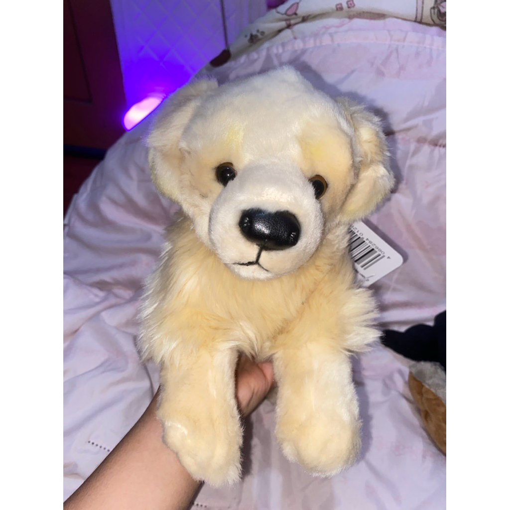 Boneka Anjing Golden