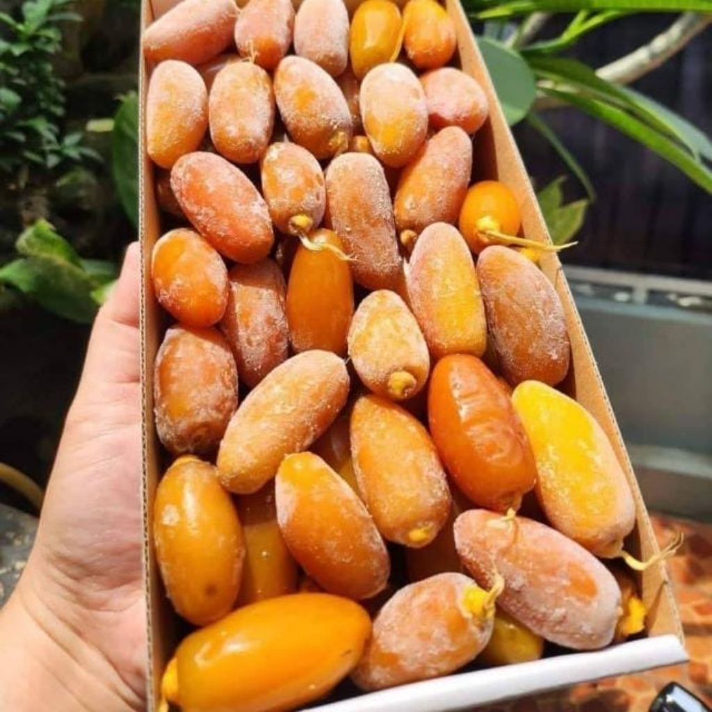 KURMA MUDA 1KG