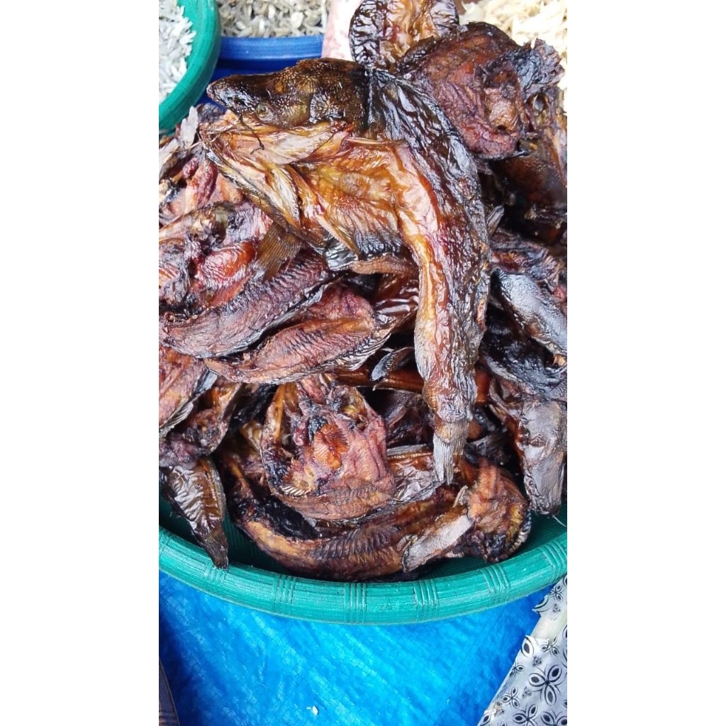 Ikan Lele Asap Salai Sale Mangut khas Jogja Padang Palembang Medan