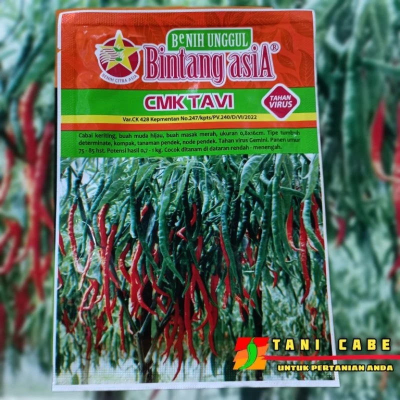 BENIH CABE KERITING CMK TAVI TAHAN VIRUS~10 GRAM