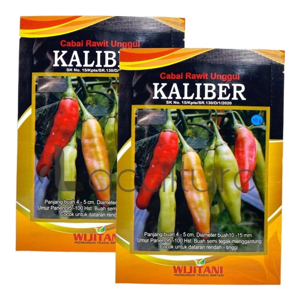 Benih cabe KALIBER 10gram, benih cabai rawit unggul kaliber wijitani,cabe setan