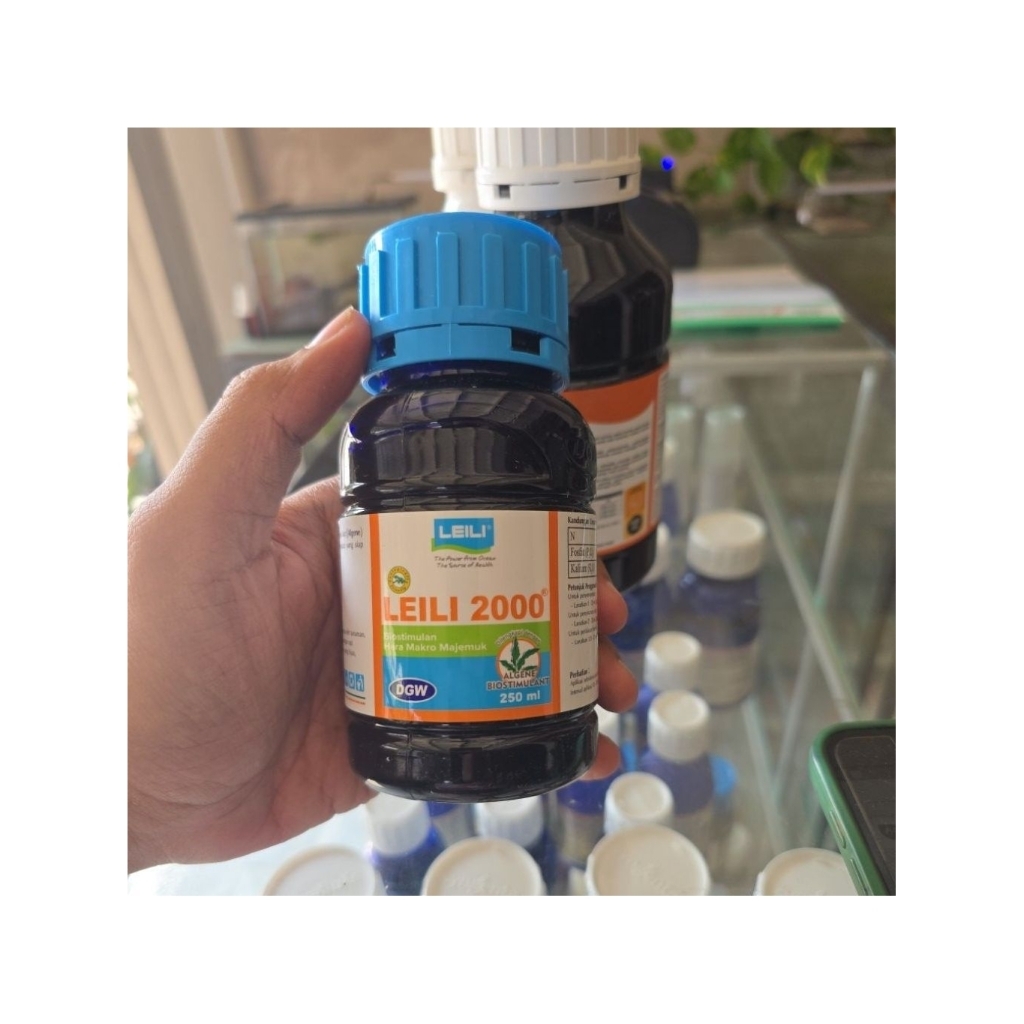 Leili 2000 250ml original DGW