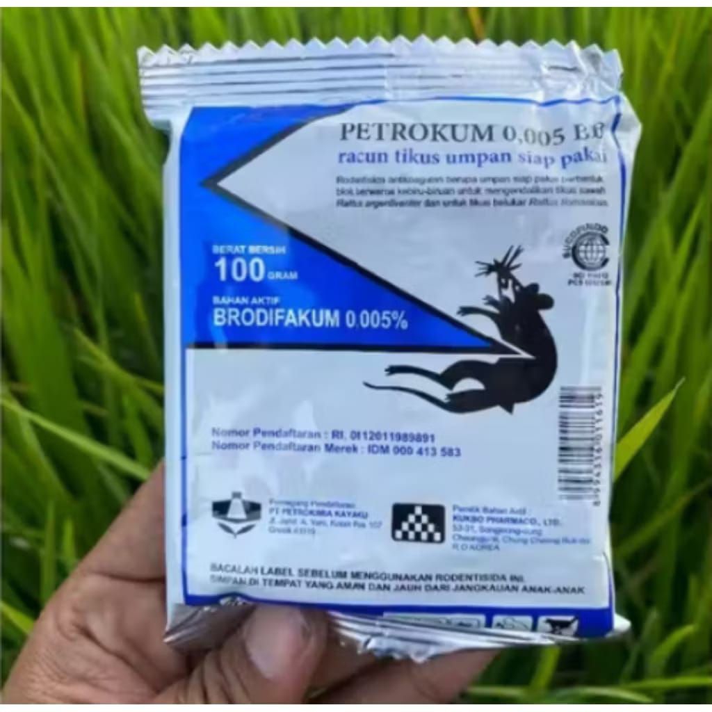 racun tikus ampuh mati kering