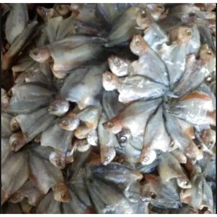 ikan asin sepat bintang/ sepat kipas super.