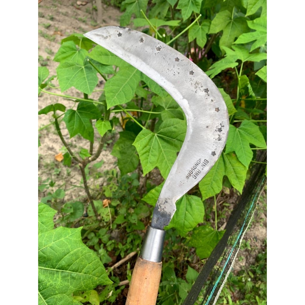 Arit BINTANG baja isian lapis 3 (khusus rumput)