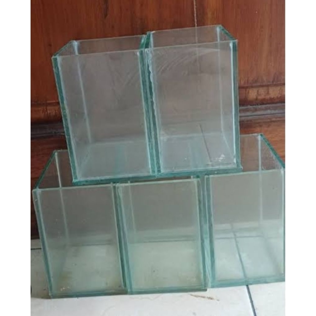 soliter kaca ikan cupang