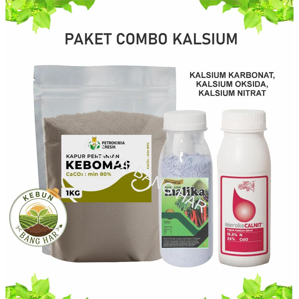 PAKET COMBO KALSIUM DOLOMIT, MEROKE CALNIT, KALSIUM MALIKA