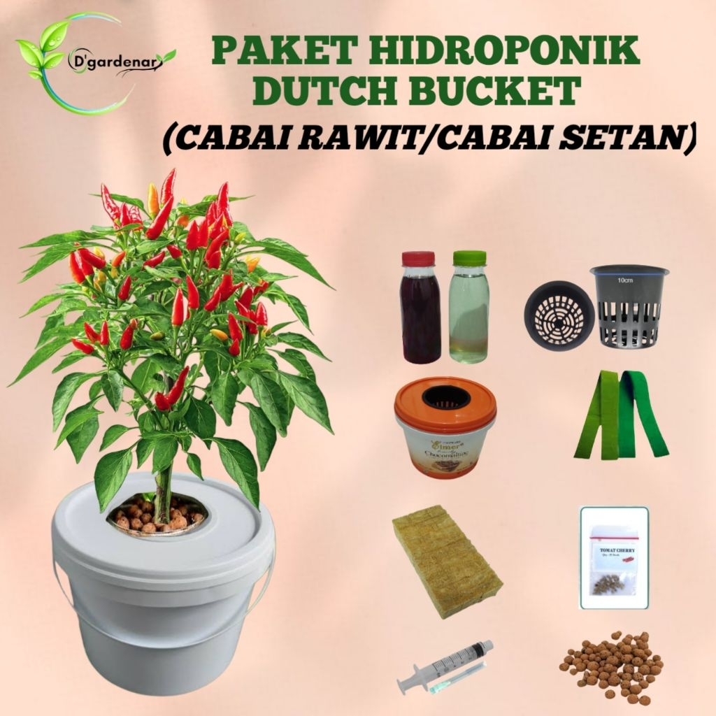 PAKET HIDROPONIK DUTCH BUCKET|PAKET HIDROPONIK PEMULA|CABAI RAWIT DUTCH BUCKET LENGKAP
