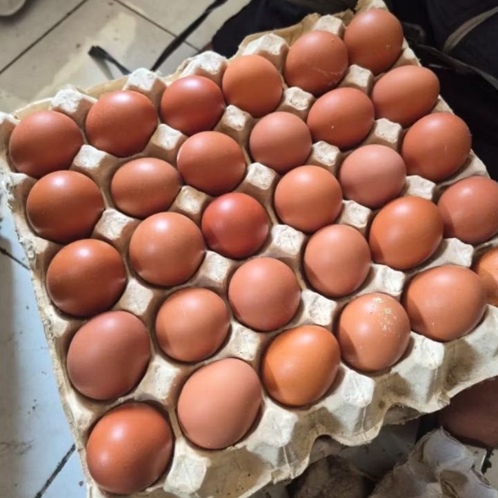 TELOR AYAM OMEGA FRESH 1kg