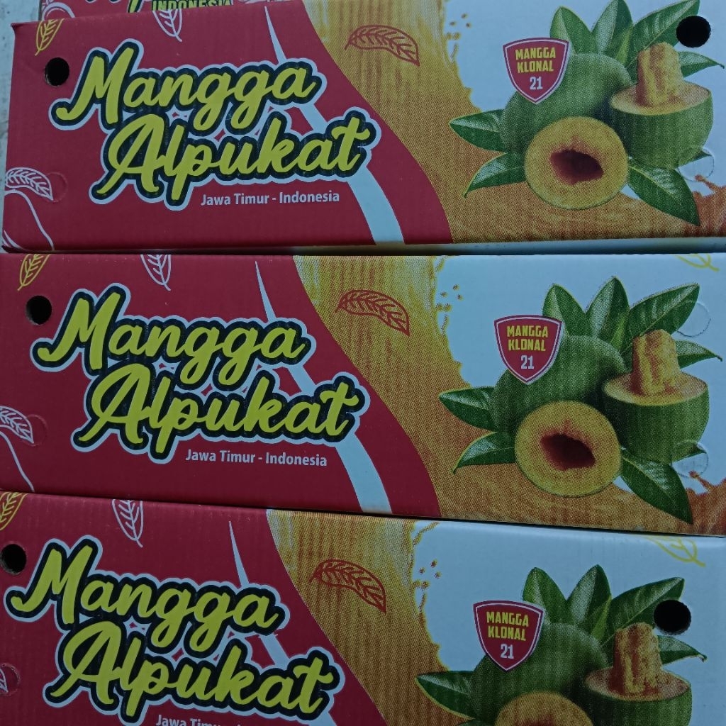 Mangga Alpukat Klonal Manis Tua Matang Pohon Daging Tebal Siap Makan 1kg