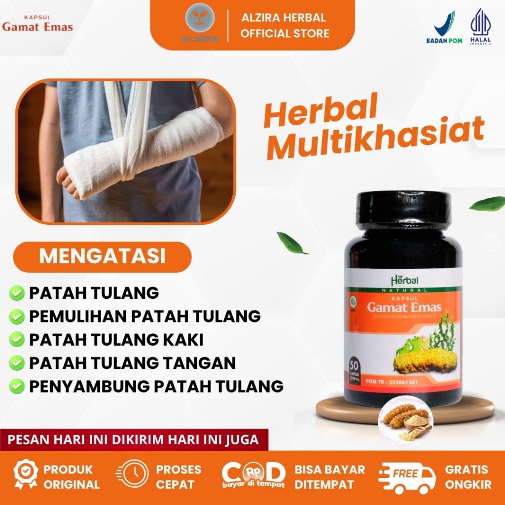 Kapsul Gamat Emas - Obat Patah Tulang, Pemulihan Patah Tulang, Patah Tulang Kaki, Patah Tulang Tanga