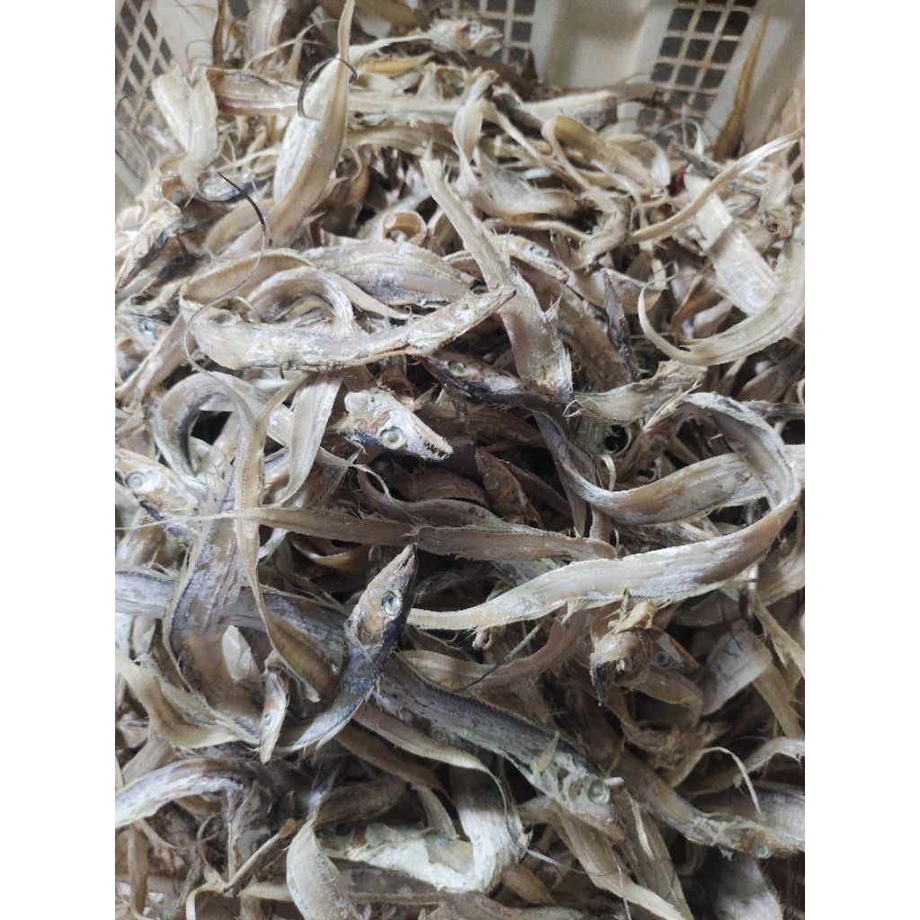 IKAN ASIN LAYUR BABY