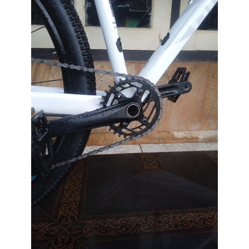 polygon xtrada 5 2025