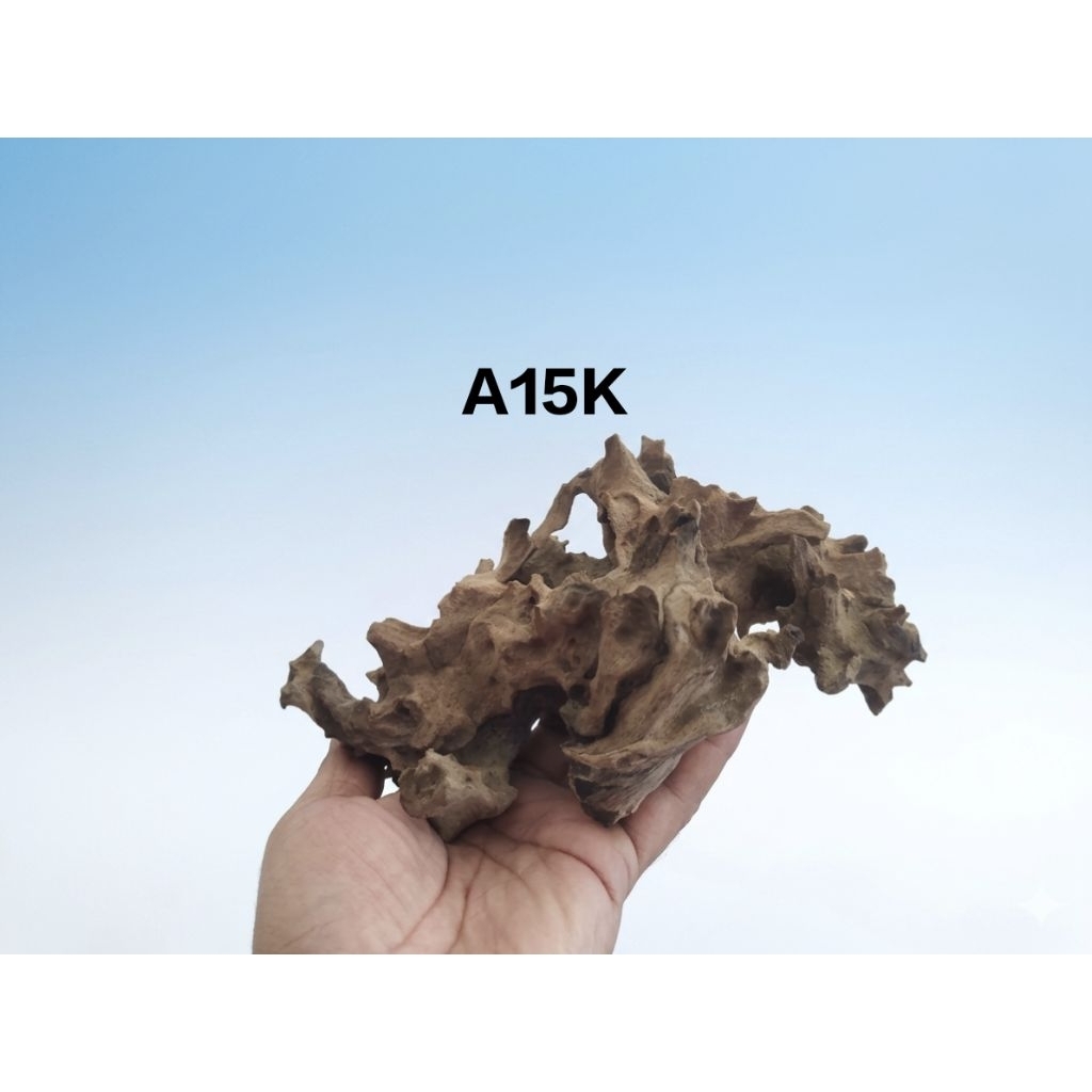 kayu Rentek Hardscape Hiasan Aquarium